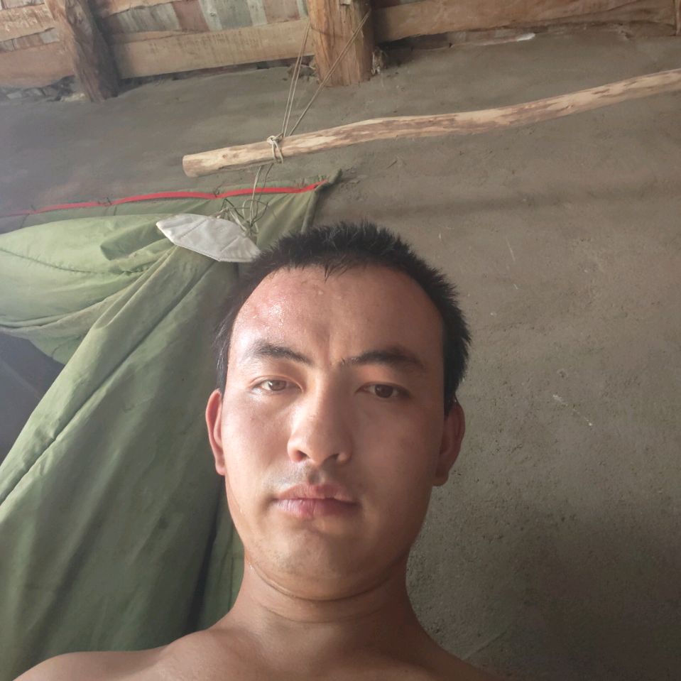杨叶